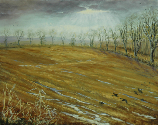 Winter Sun